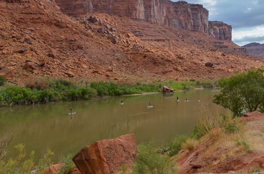 A group of paddleboarders glides down the calm Colorado River beneath towering red sandstone cliffs near Moab, Utah.