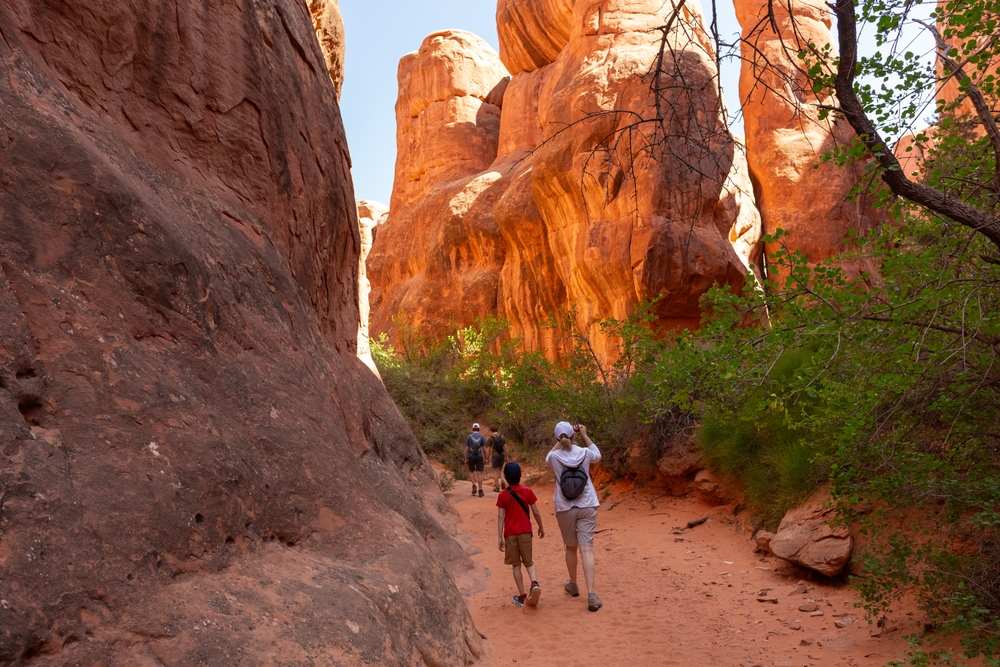 Hikers walk a sandy trail between towering red sandstone fins and green desert shrubs, likely along the Devils Garden trail in Arches National Park.